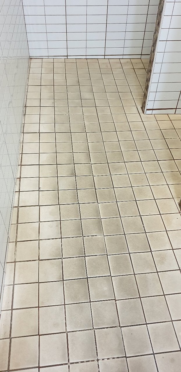 20191009 184903 largejpg